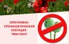 Межведомственная комплексная оперативно-профилактическая операция «Мак-2022» проводится в Нижегородской области