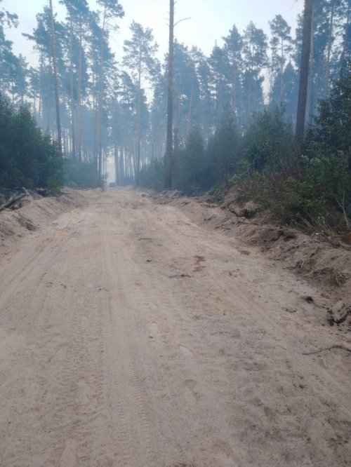 Возросла опасность возникновения лесных и ландшафтных пожаров