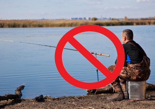 Временный запрет на ловлю рыбы в р.Вичкинза