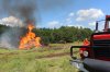В лесах Нижегородской области с 17 апреля 2024 года официально объявлен пожароопасный сезон.