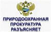 Нижегородская межрайонная природоохранная прокуратура разъясняет изменения, внесенные в законодательство о рассмотрении обращений граждан