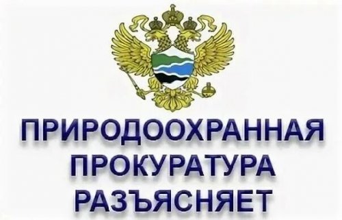 Нижегородская межрайонная природоохранная прокуратура разъясняет изменения, внесенные в законодательство о рассмотрении обращений граждан